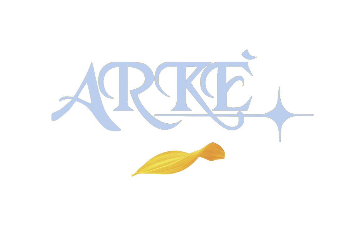 Arkè srl