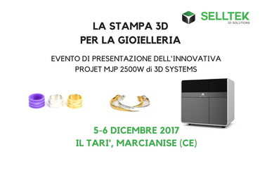 Presentazione Selltek al Tar